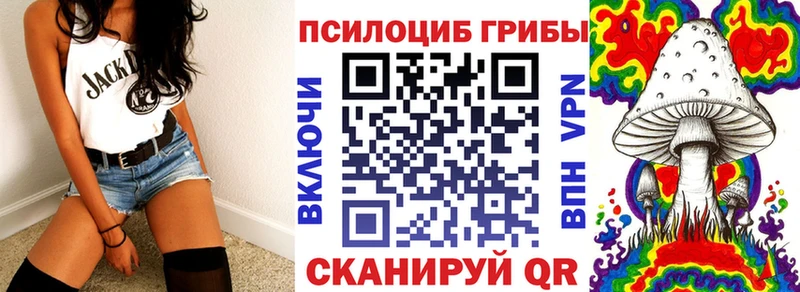 Псилоцибиновые грибы прущие грибы  Купить  Заинск 